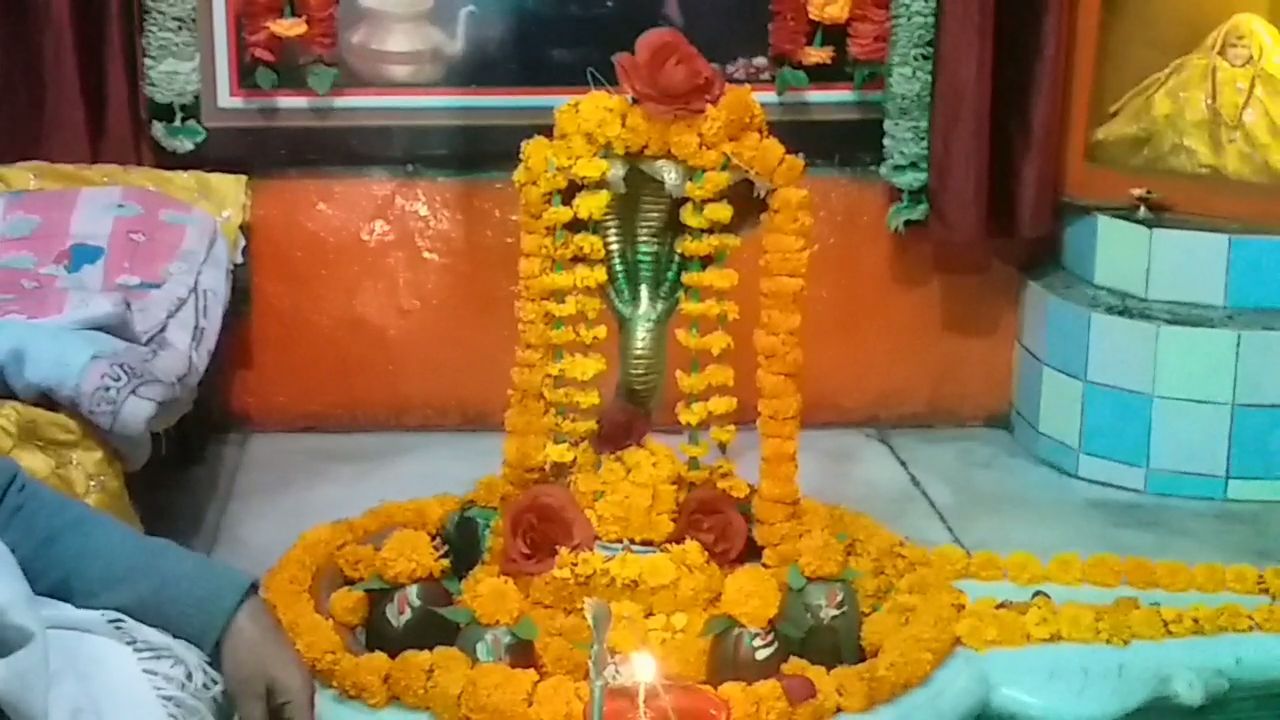 ओम नमः शिवाय के जयकारों से गूंजेगी छोटी काशी