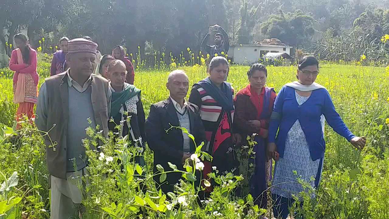 Farmers of Solan took natural farming tips in Sirmaur, सोलन के किसानों ने सिरमौर में लिए प्राकृतिक खेती के टिप्स