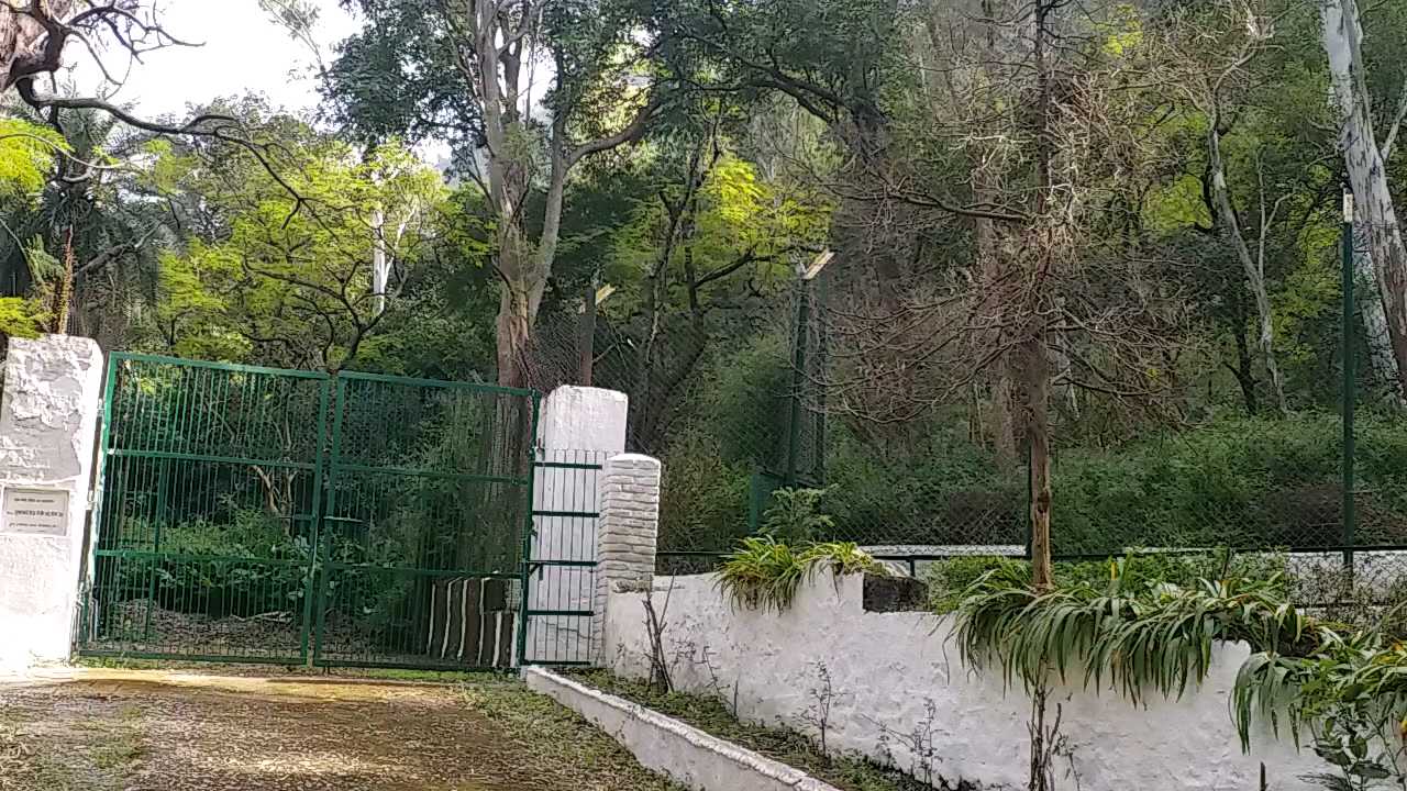 SirmourNo tiger in renuka ji zoo