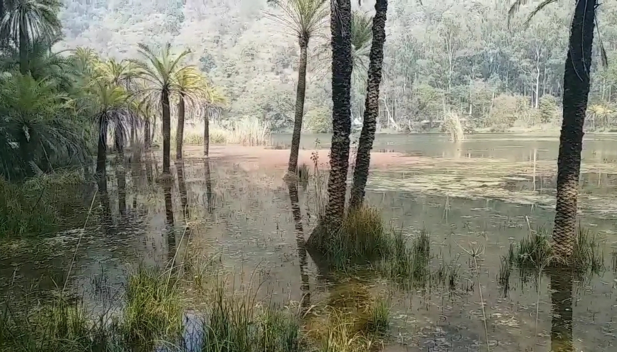 Renuka Ji Lake Nahan