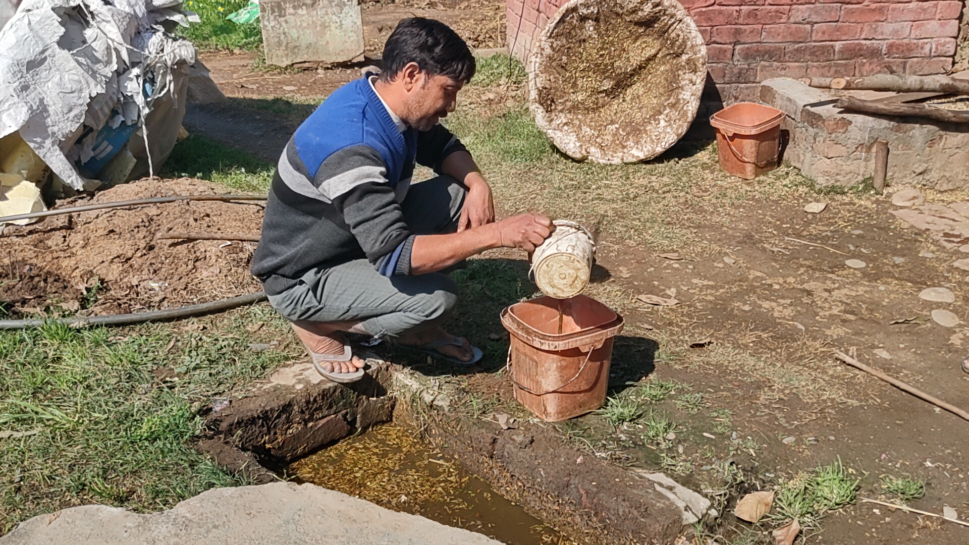 natural farming in Paonta Sahib