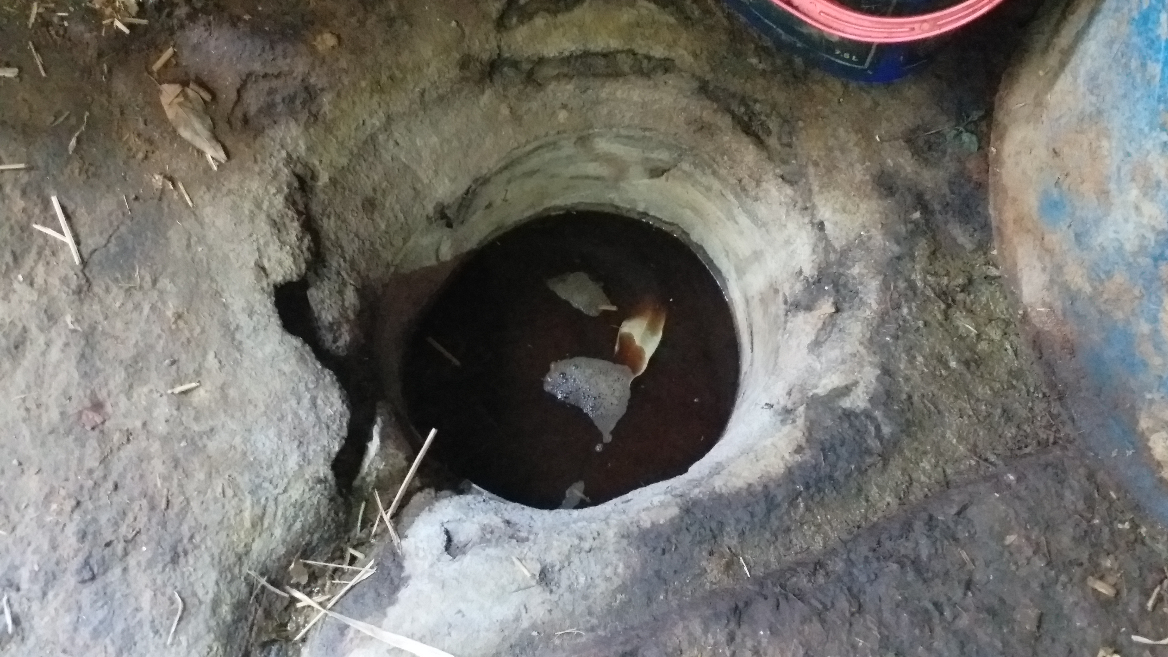 natural farming in Paonta Sahib