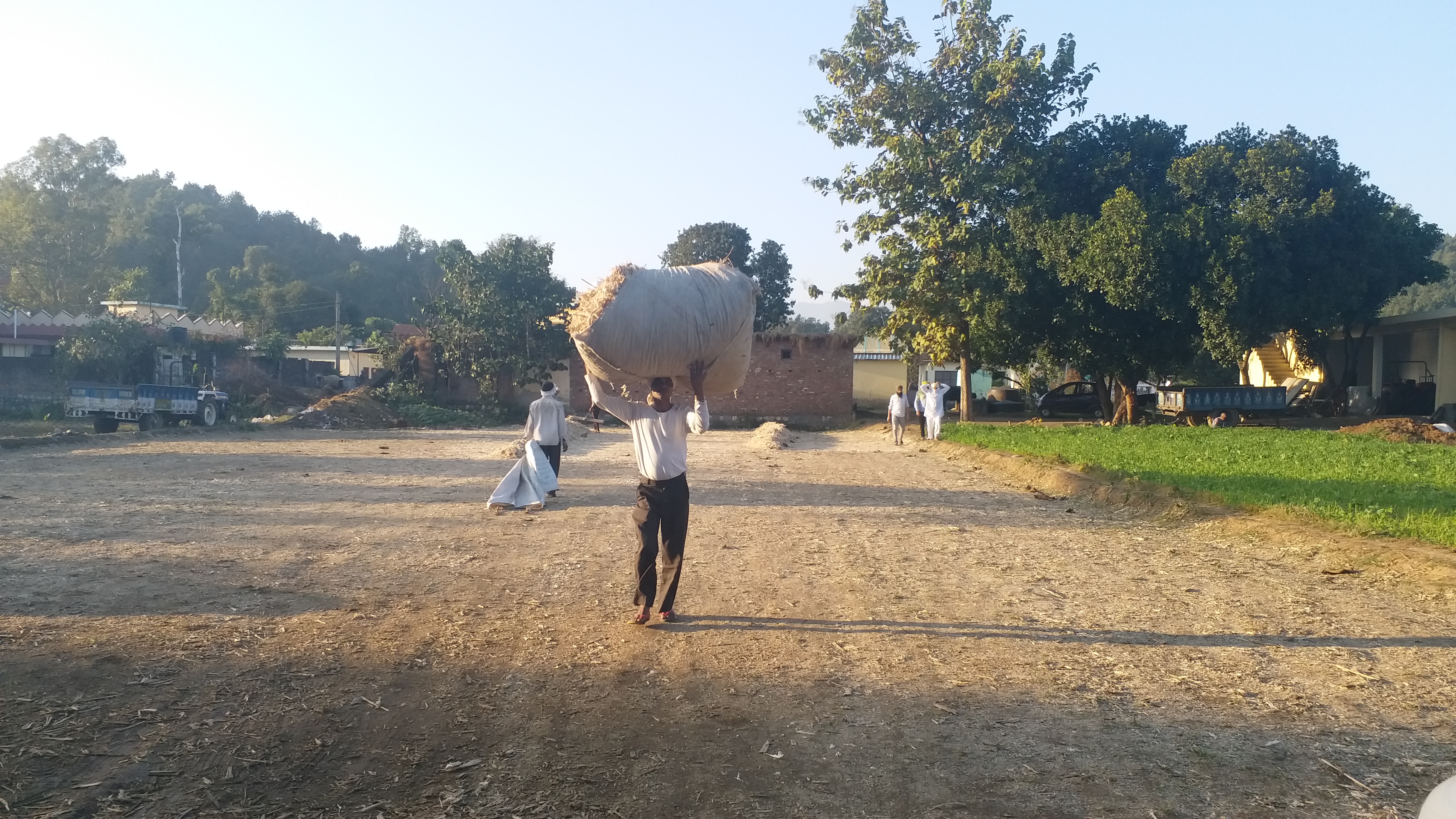 cororna effect on Sugarcane business in Paonta Sahib