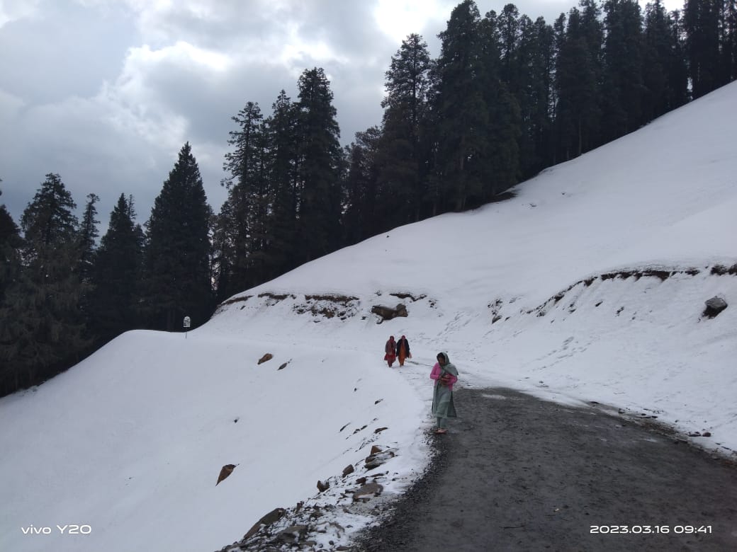 बर्फबारी के बीच मनमोहक है माता शिकारी का सफर