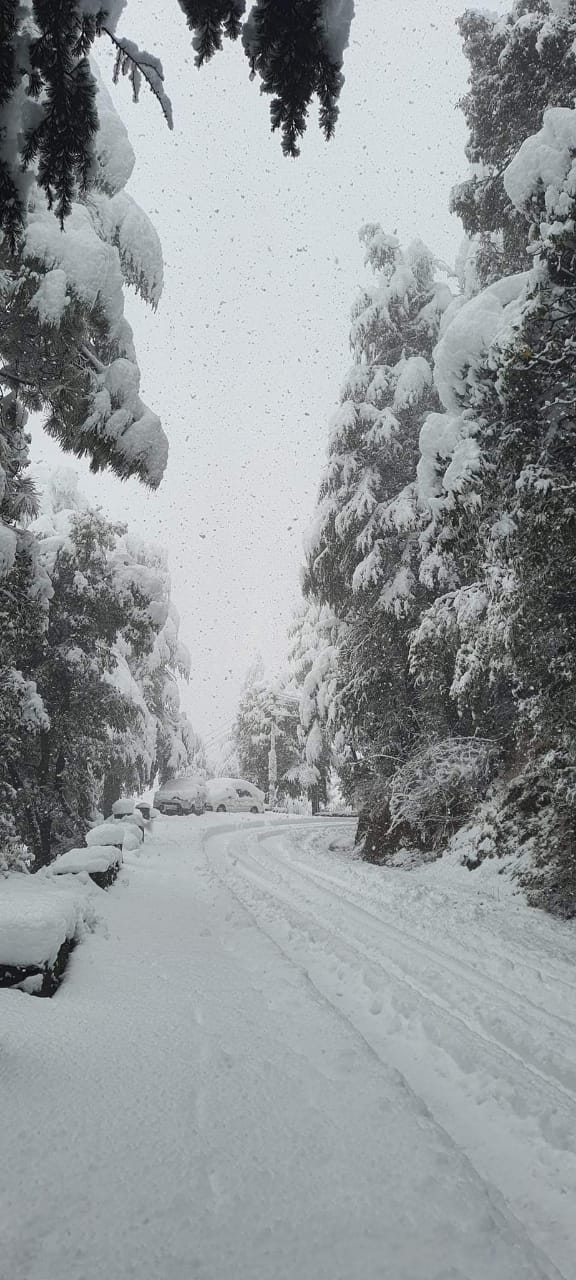 Snowfall in Solan