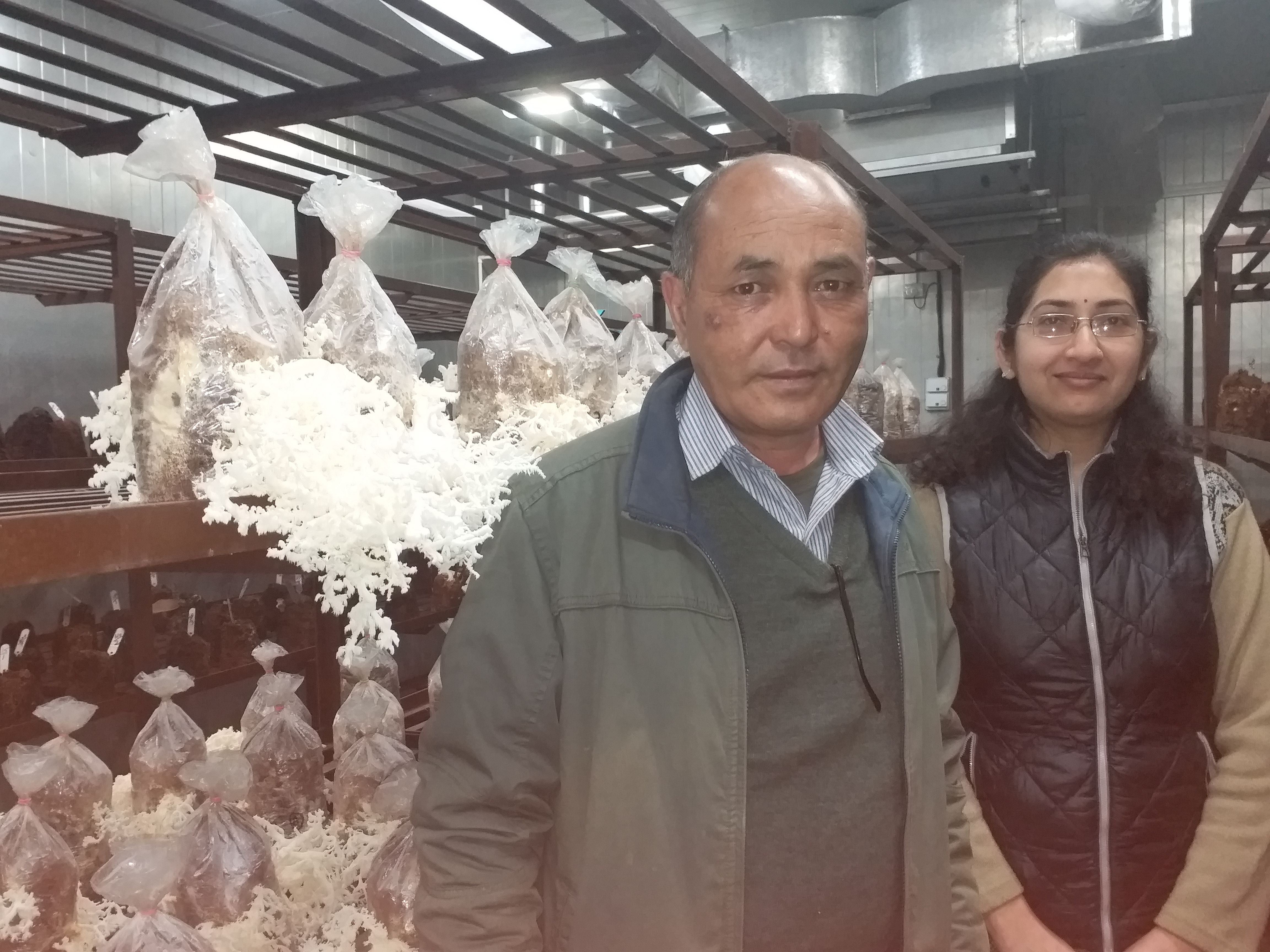 DMR Solan created a new variety of mushroom