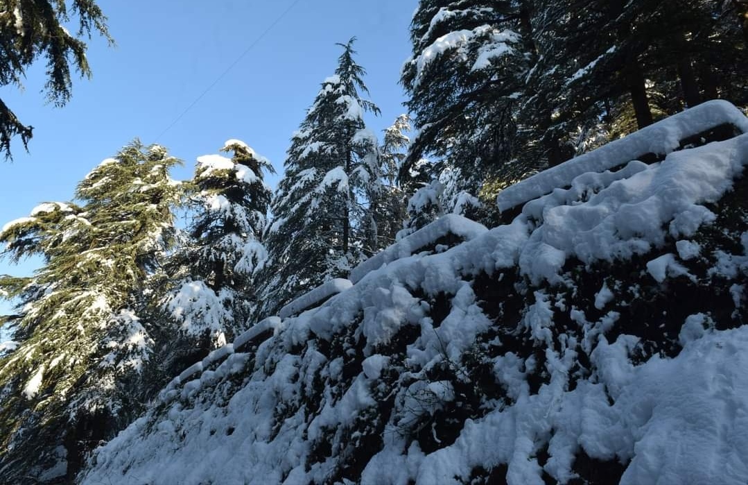 sunshine-after-snowfall-in-solan