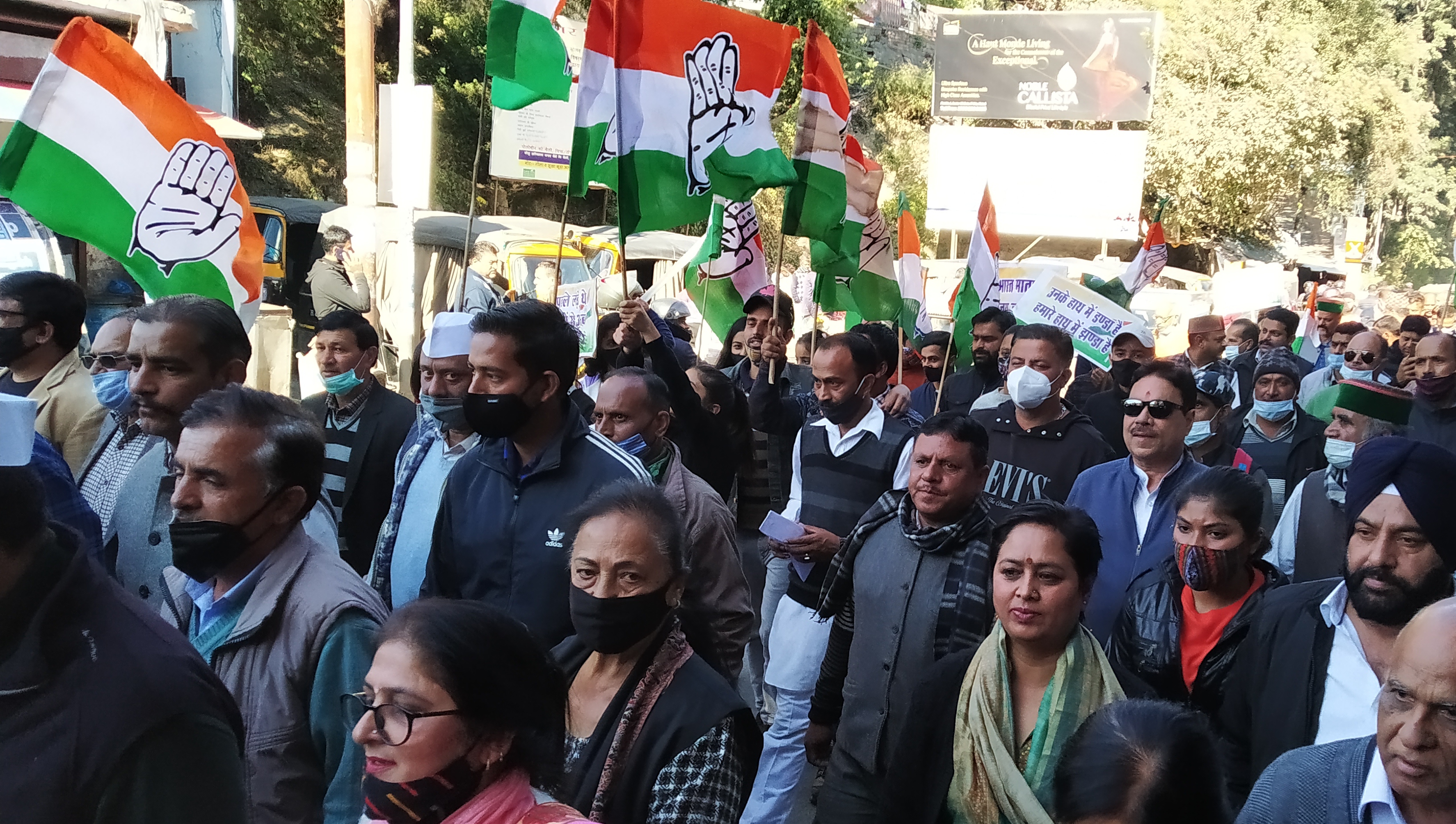 congress padyatra solan