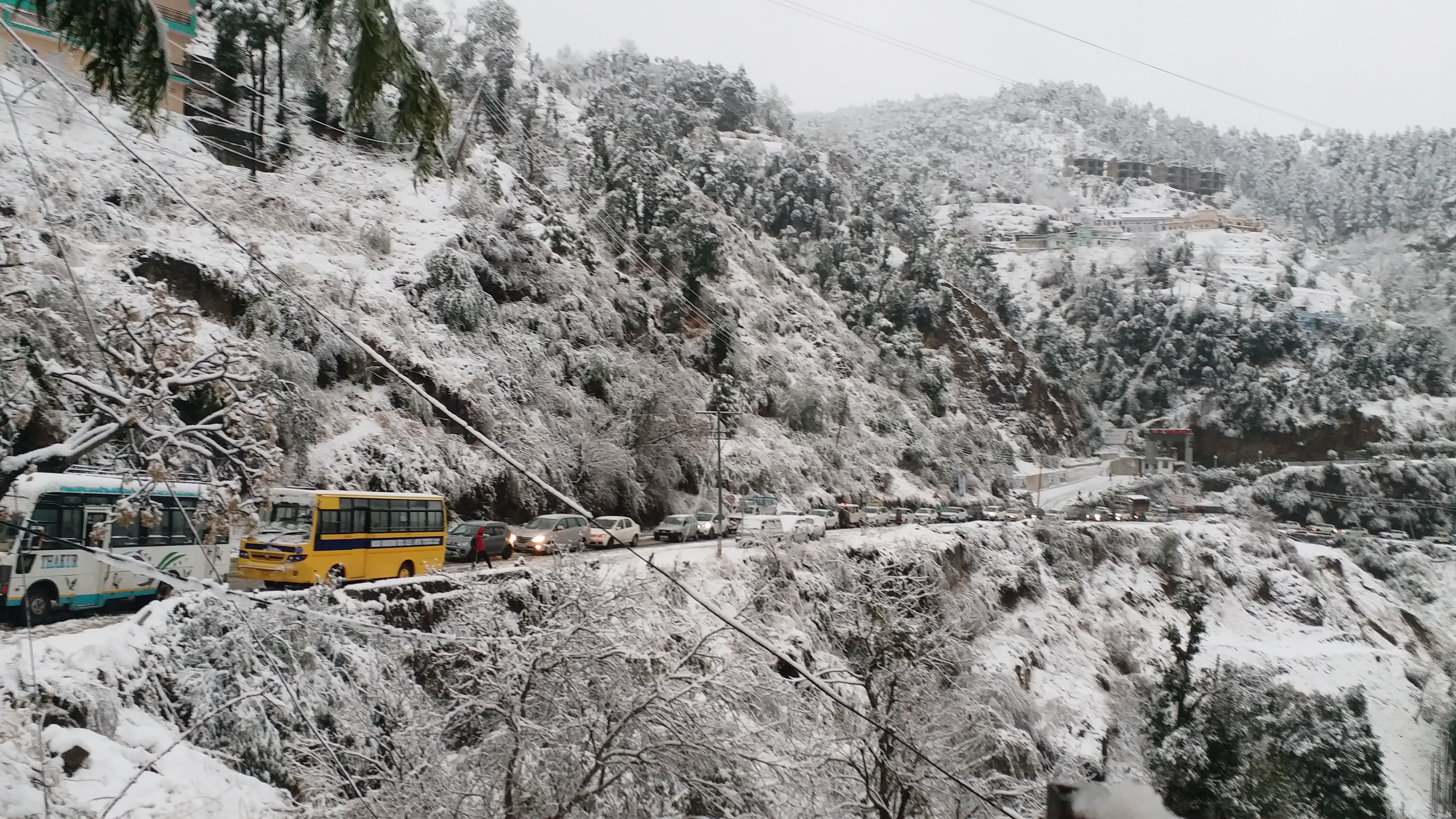 snowfall in solan