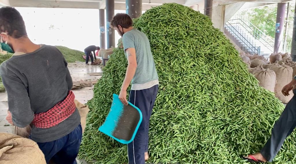 Himachal farmers