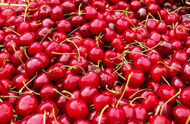 cherry cultivation in Himachal
