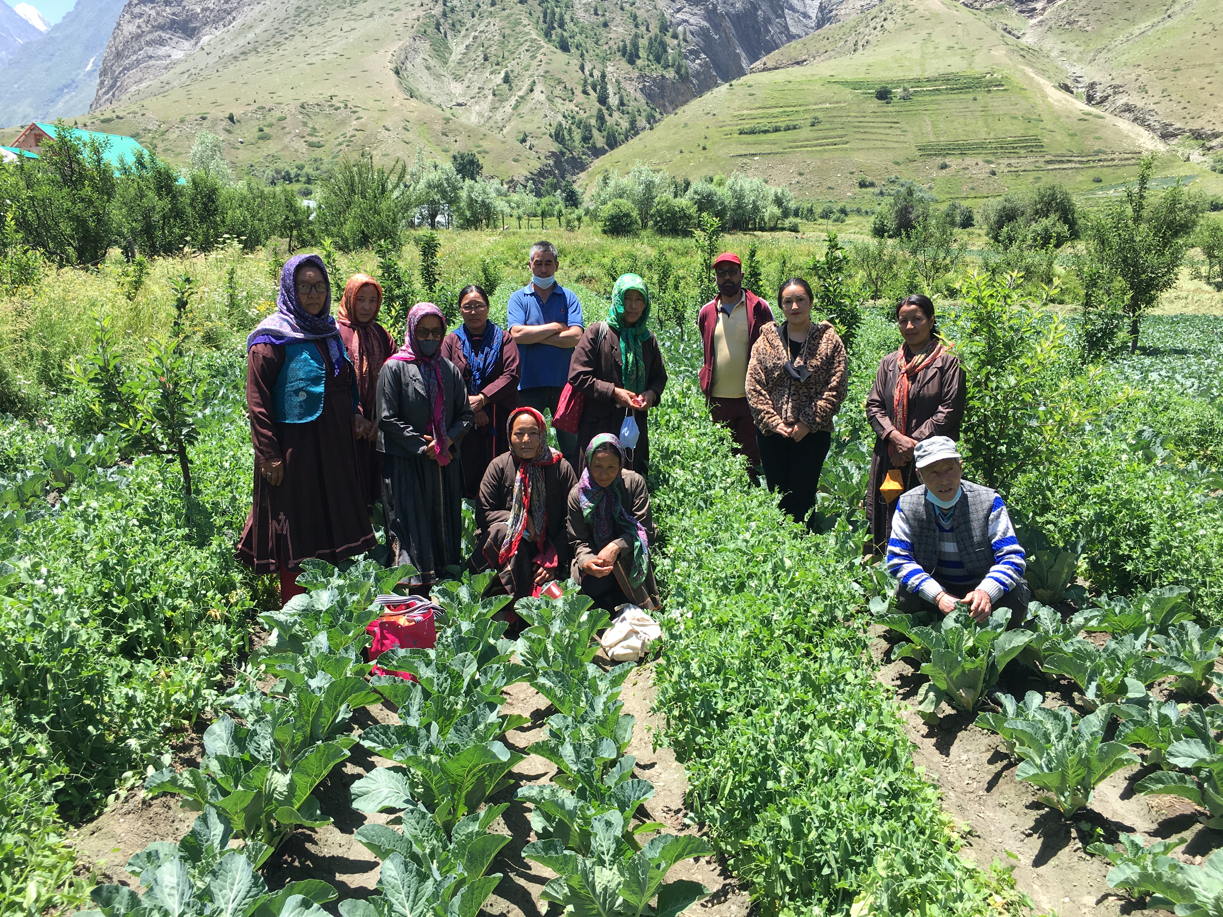 natural farming in himachal