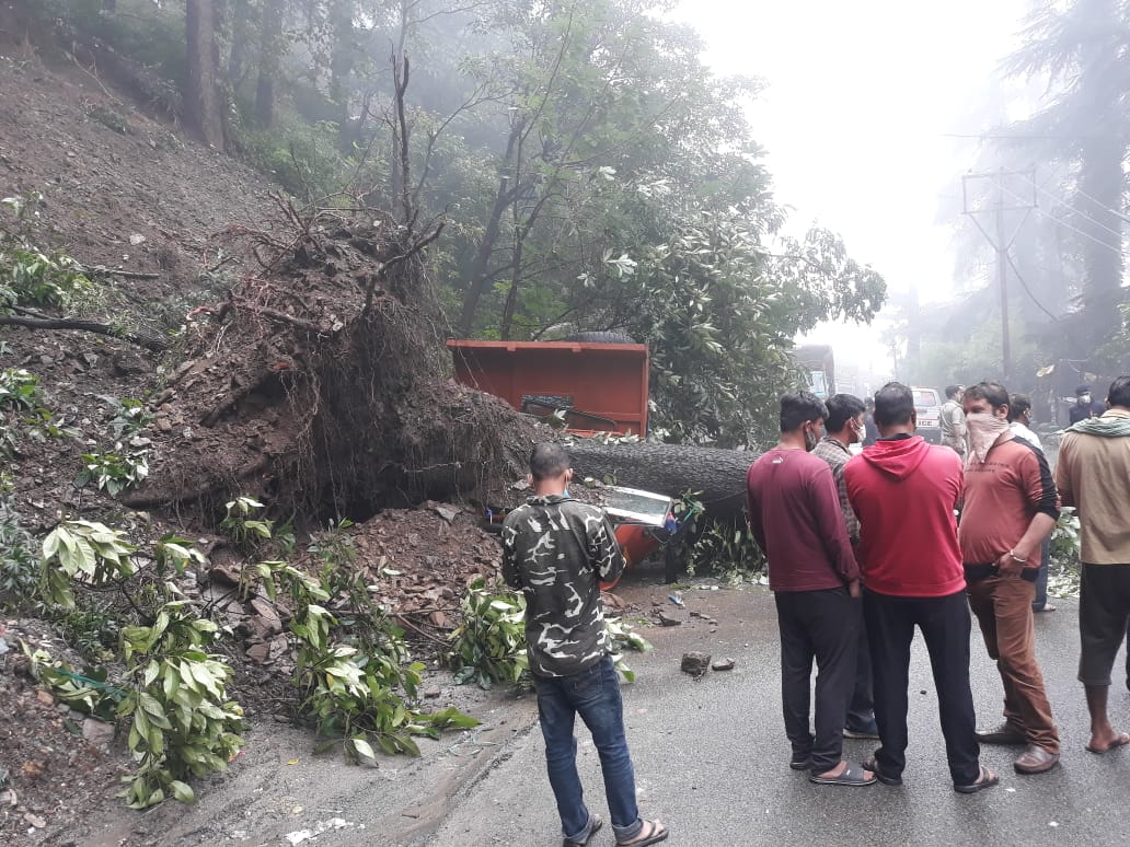 Tree fell on mini truck in Talland Shimla, टालैंड शिमला में मिनी ट्रक पर गिरा पेड़