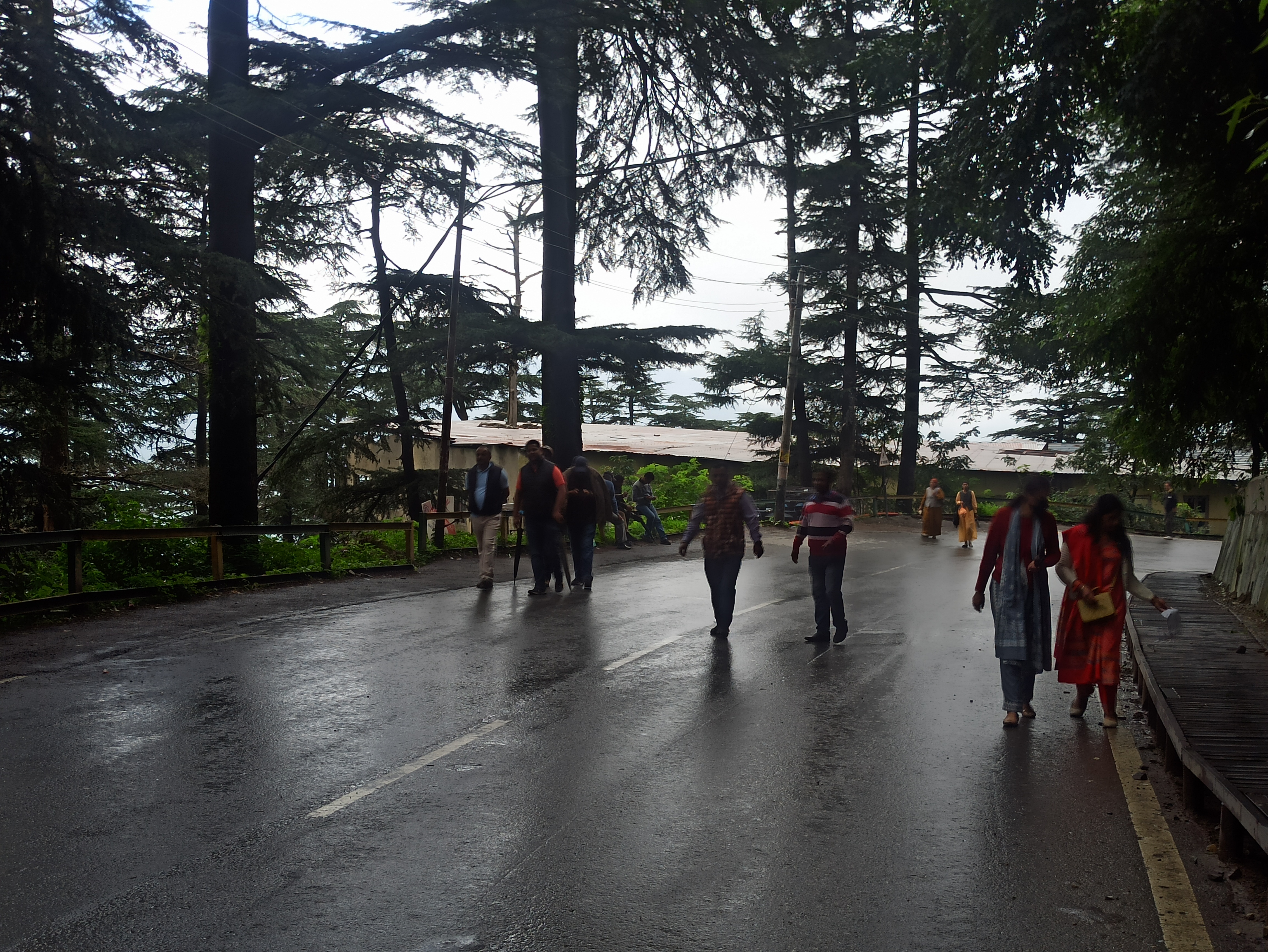 Traffic jam in Shimla