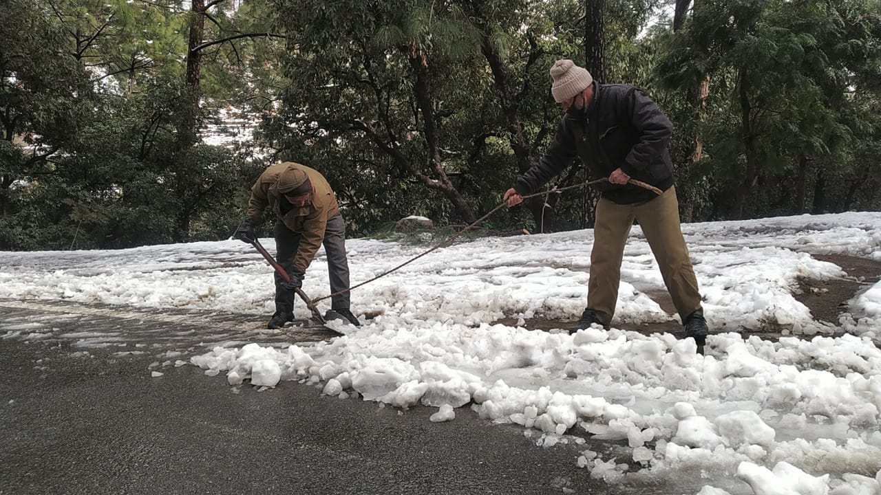 Employees engaged in road restoration.