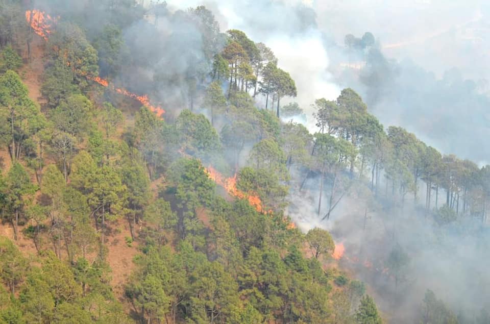 Fire incident in Himachal forests