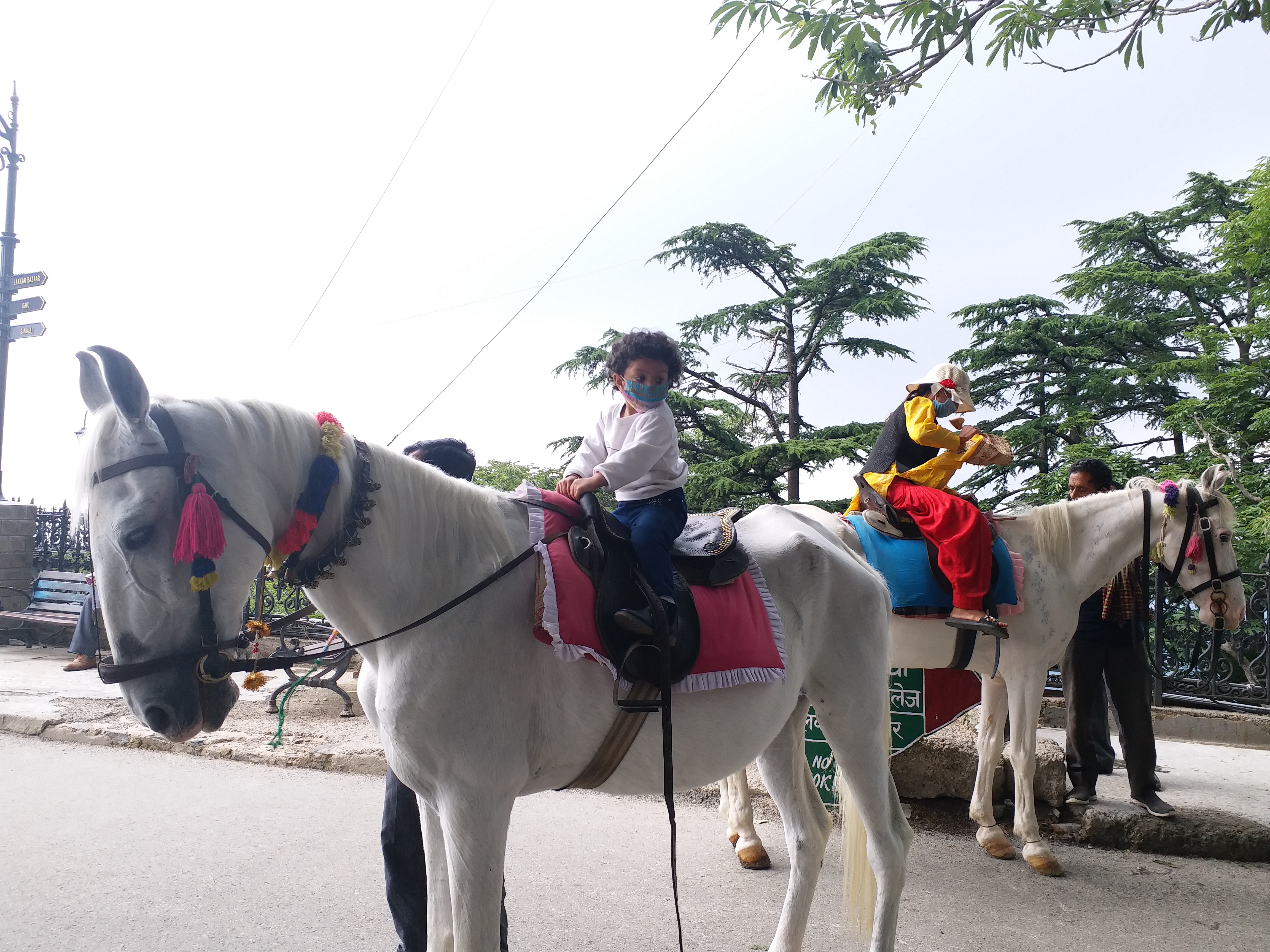 Horse riding in shimla, शिमला में घुड़सवारी