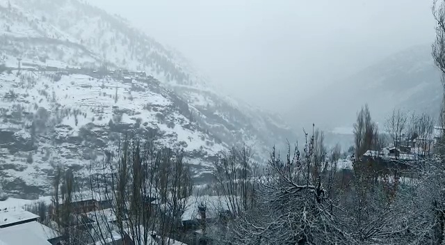 himachal weather update