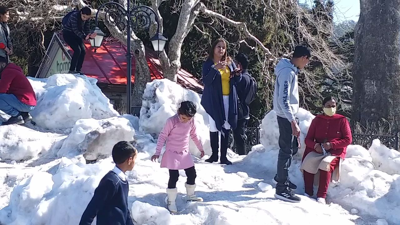 Shimla snowfall news, शिमला बर्फबारी न्यूज