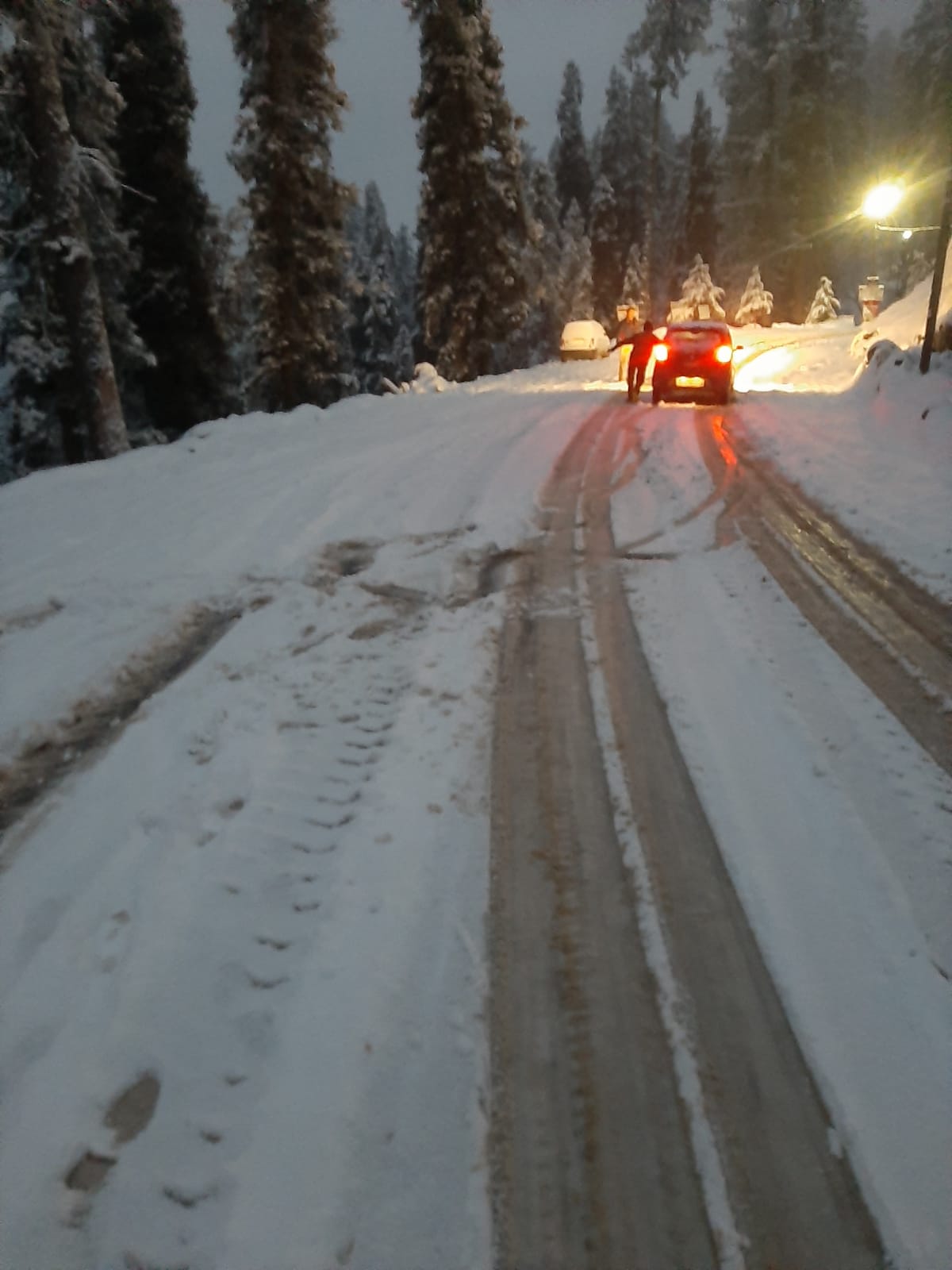 snowfall in shimla district