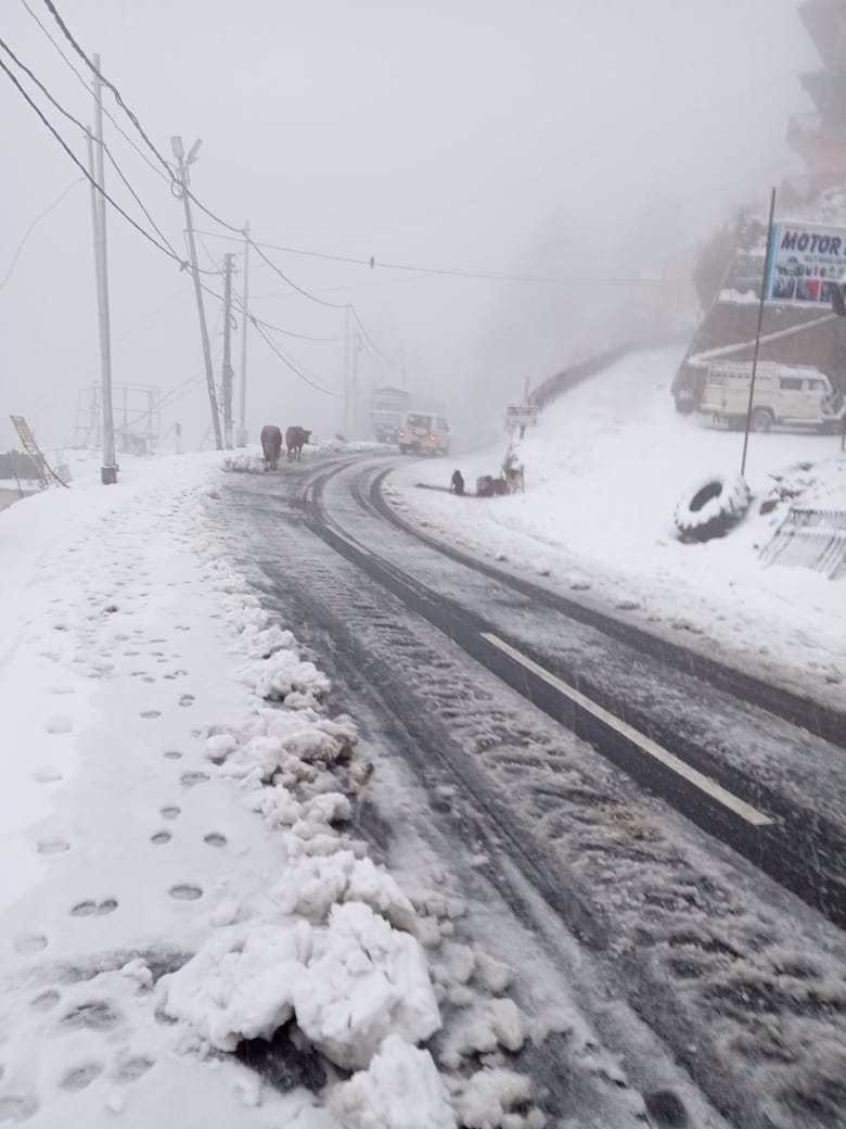 Vehicular movement on NH5 Narkanda closed due to snowfall