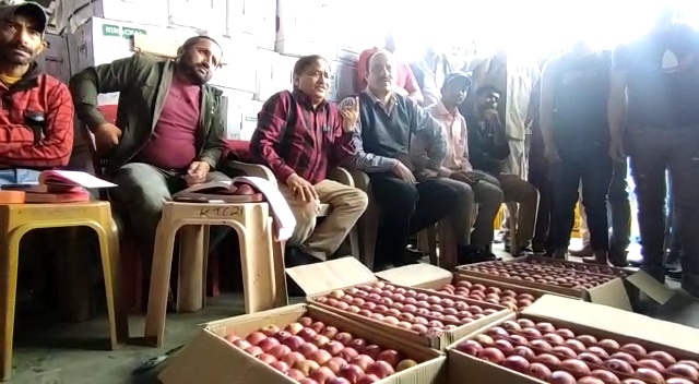 apples in fruit market shimla