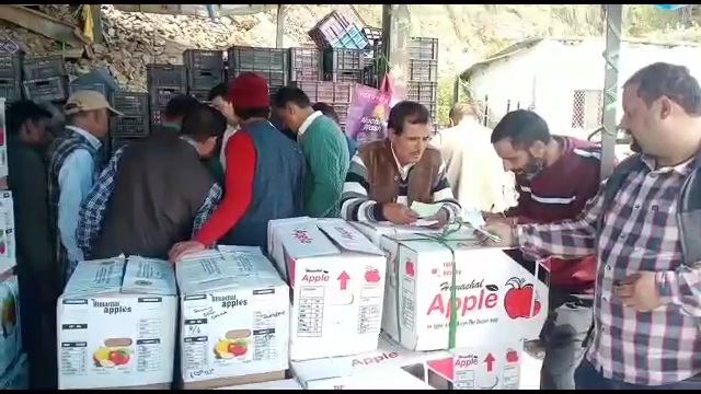 Apples in wine boxes in Shimla