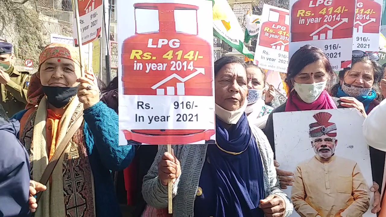 congress protest against government regarding increase petrol and diesel rate