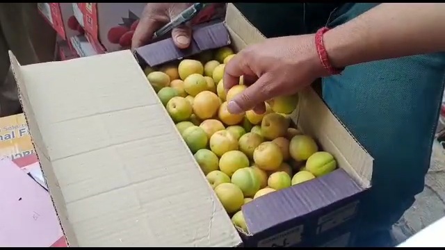 Shimla fruit market