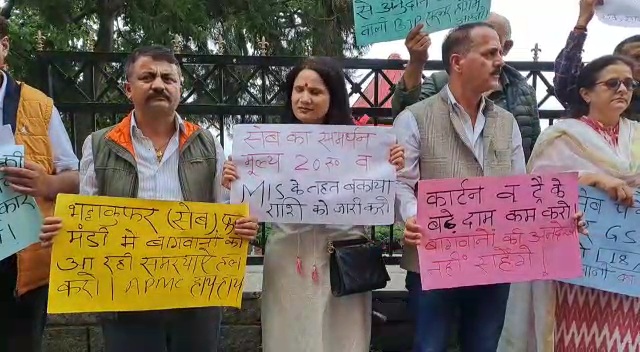 Shimla district council members protest