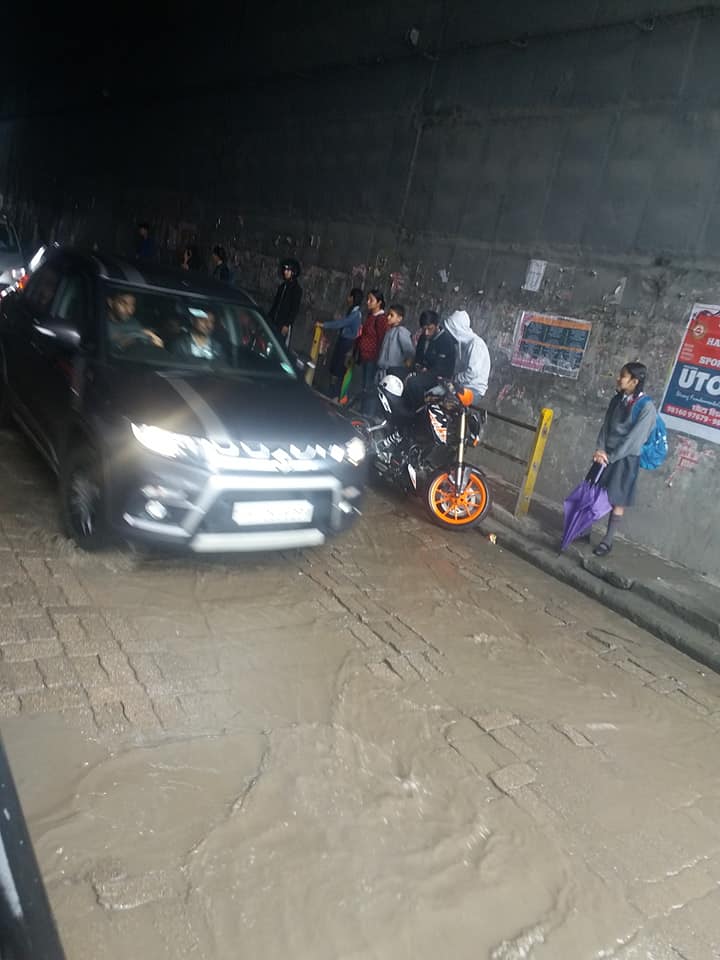 tree fall in road due to rain