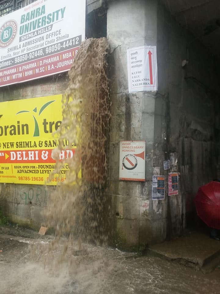 tree fall in road due to rain