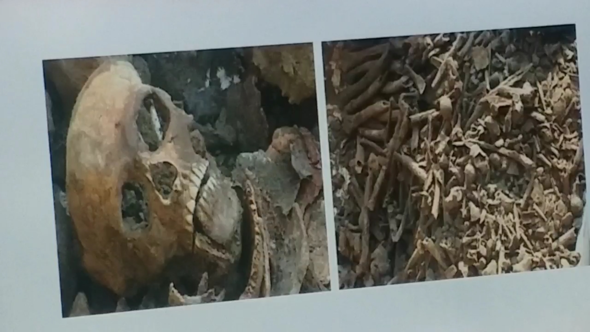 skeleton found in well in punjab