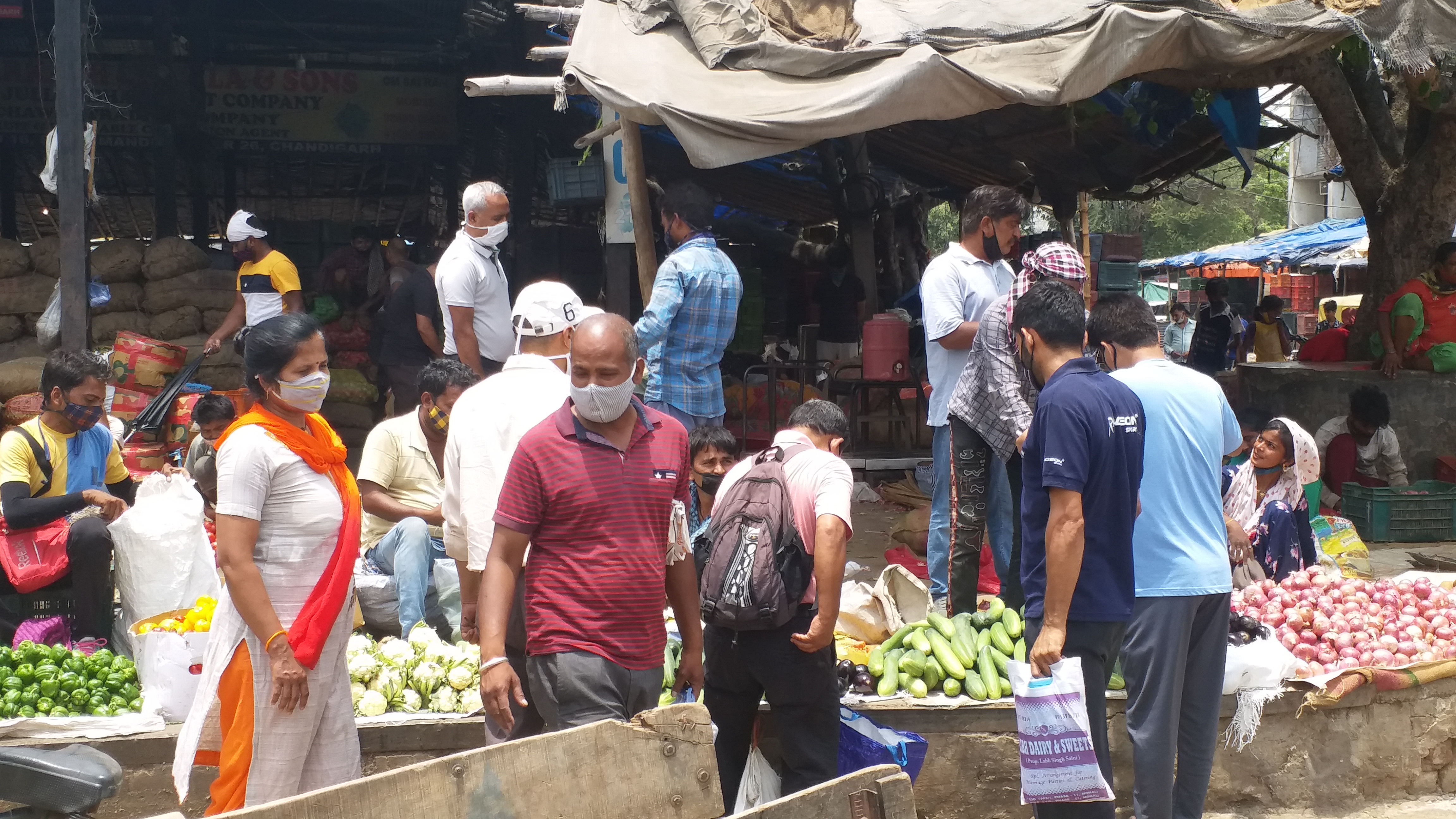 people are violating corona guidelines in chandigarh