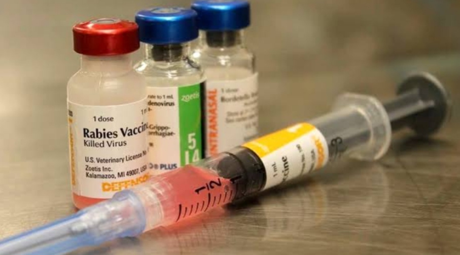 anti rabies vaccine in badshah khan hospital