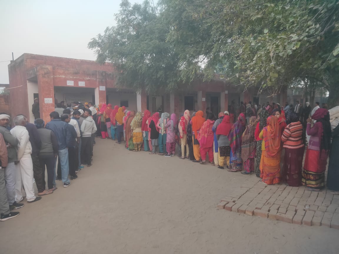 haryana panchayat Elections