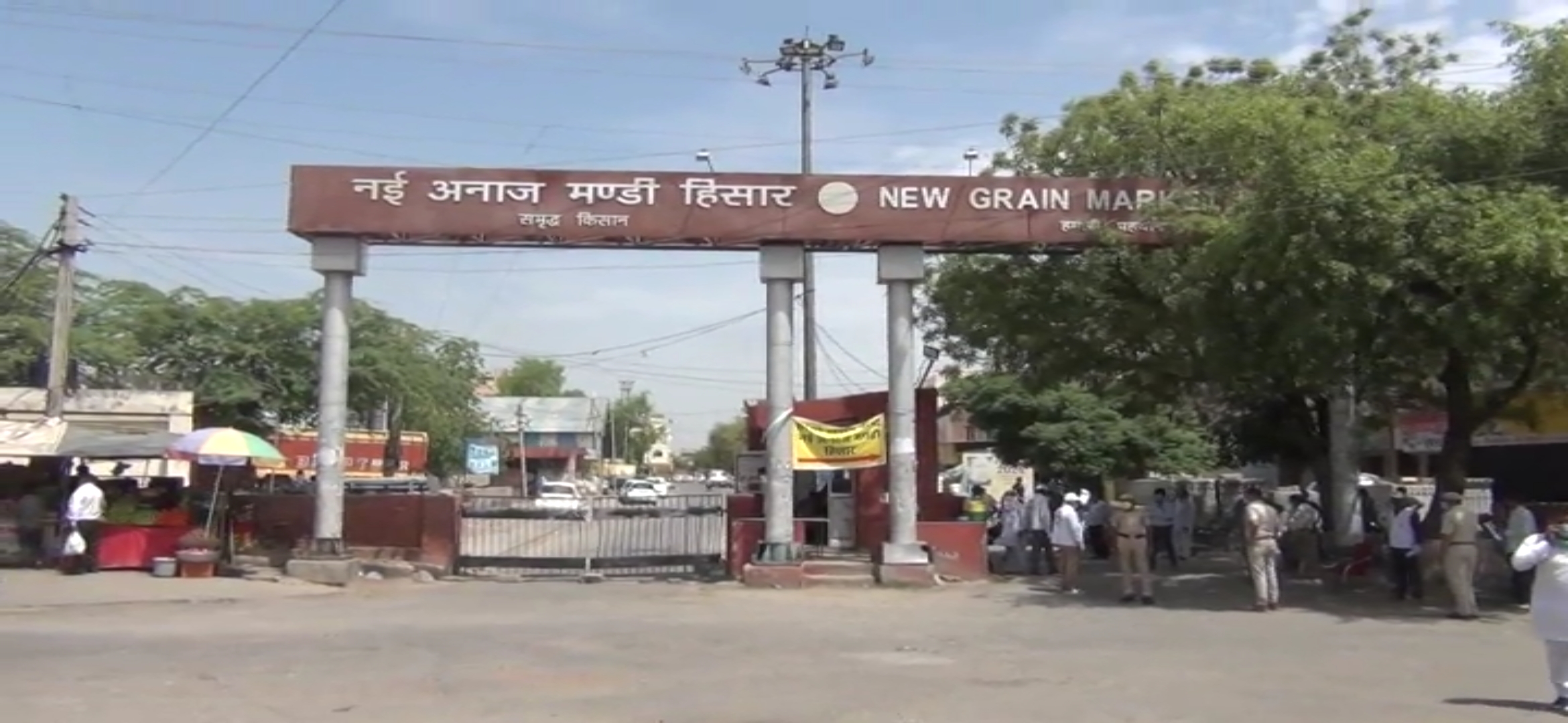 Mustard crop purchase started in Hisar