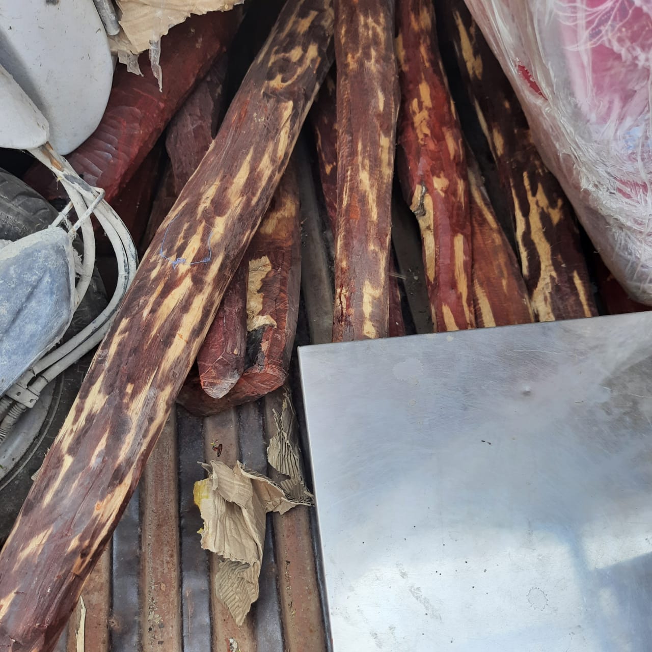 Red sandalwood smuggling in Hisar