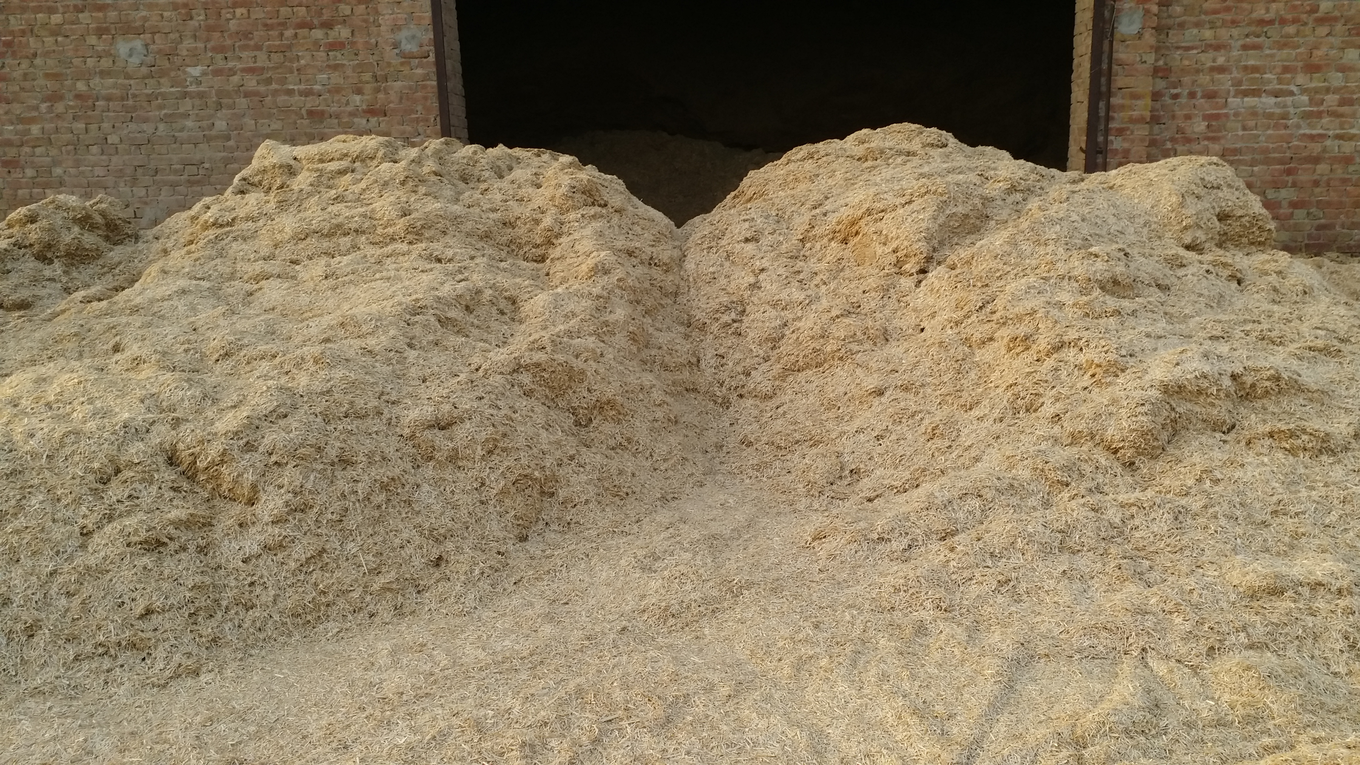 dry fodder crisis in haryana