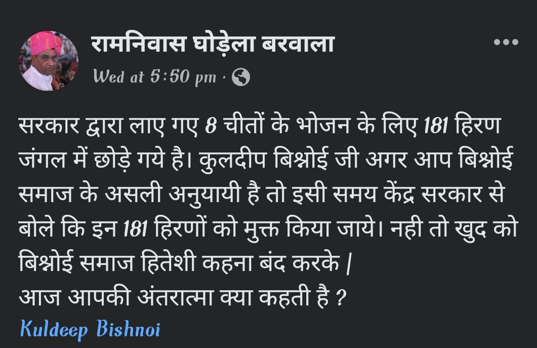 कूनो नेशनल पार्क में चीतल हिरण