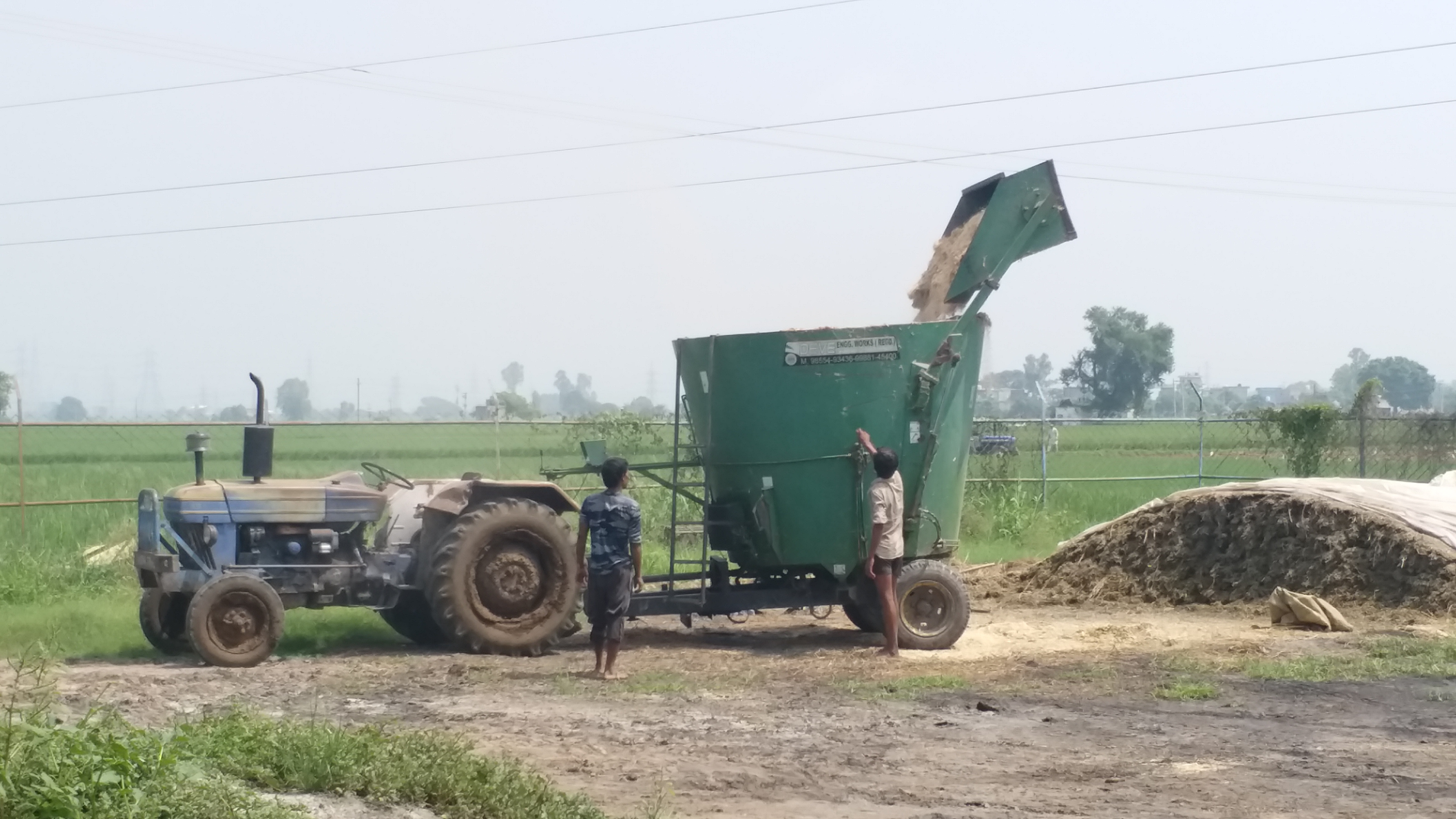 Nirmal Singh HF Breed Cow Dairy Farm in Karnal