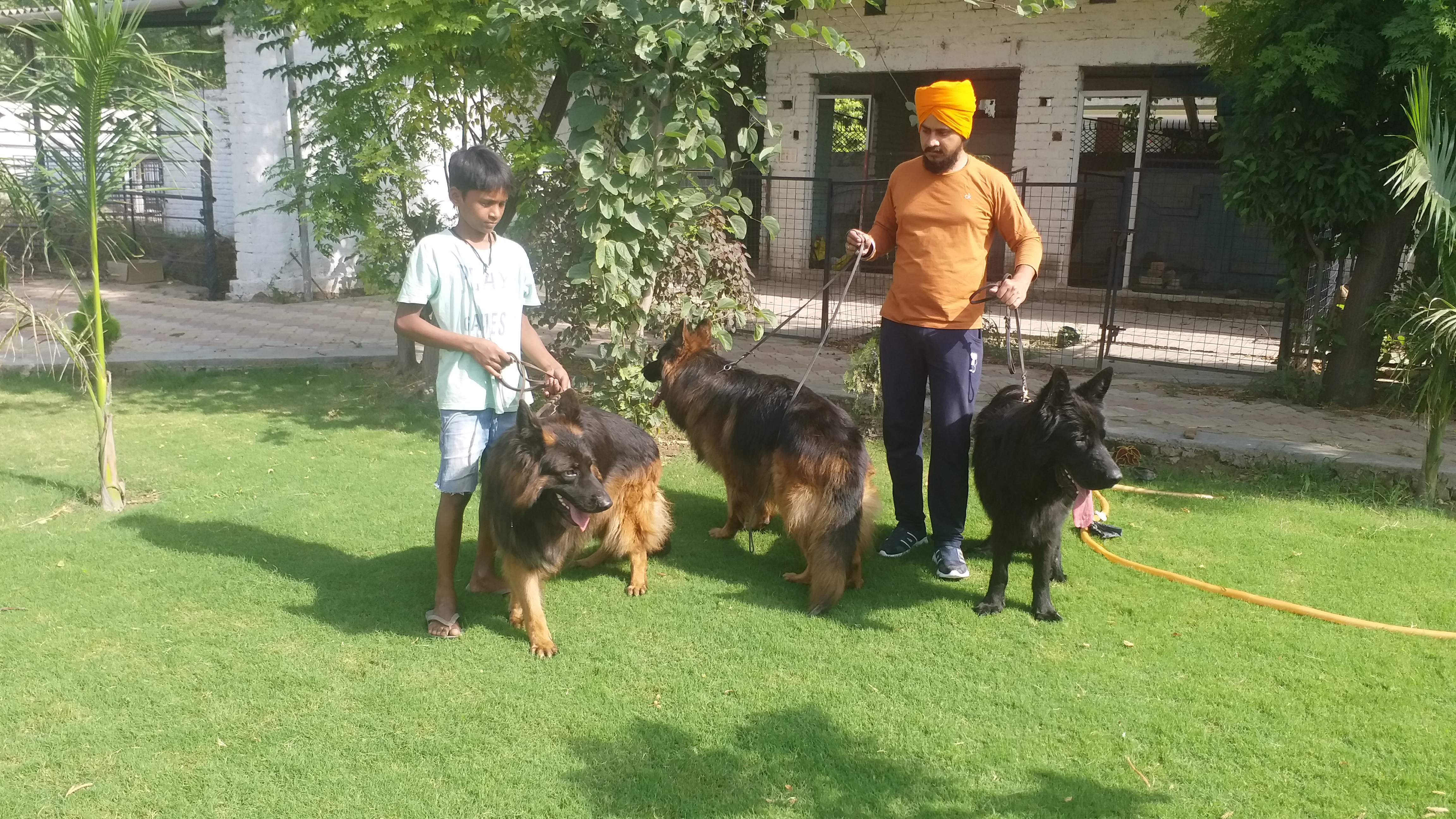 dog farming in kurukshetra