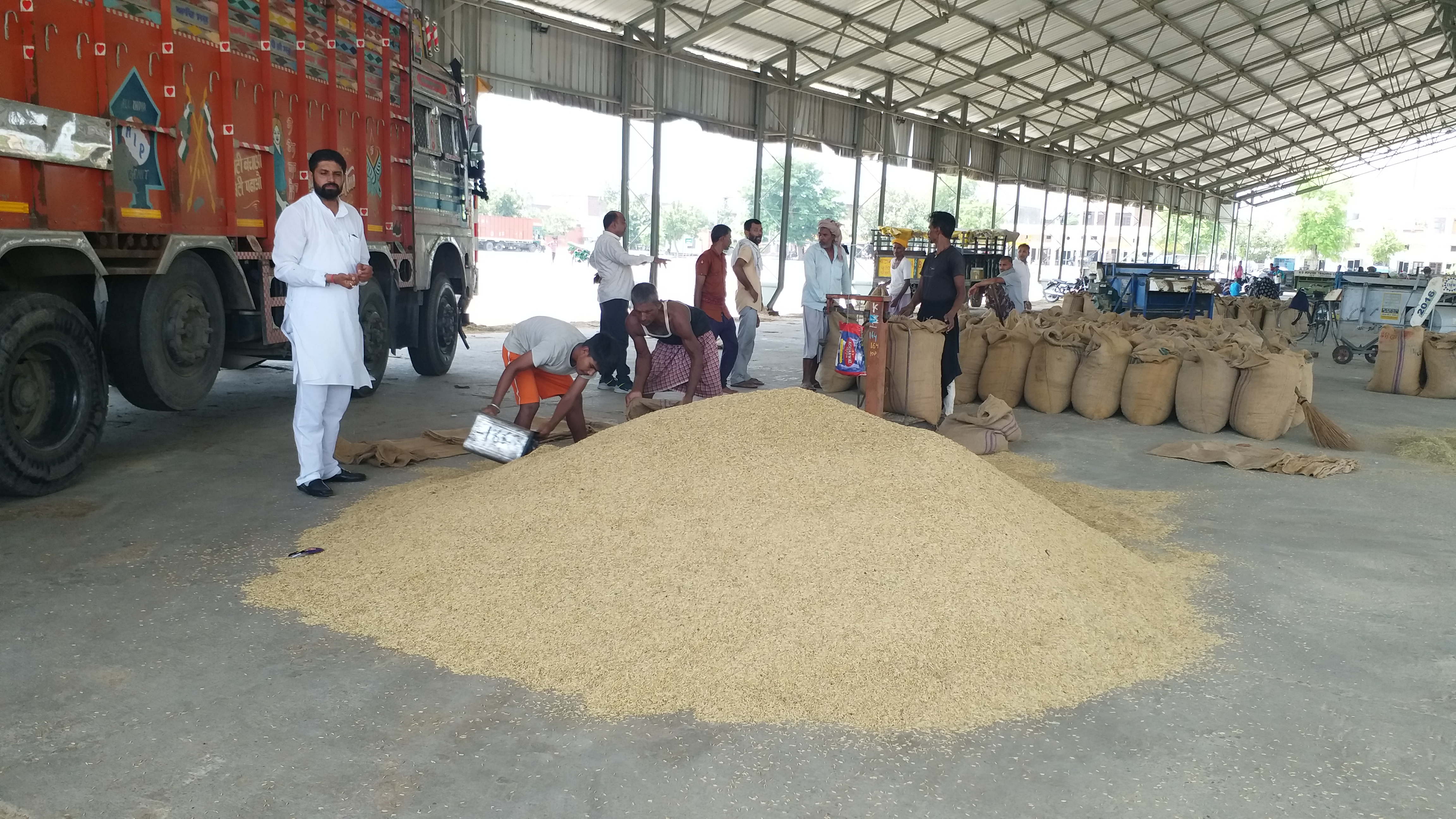 paddy procurement in haryana