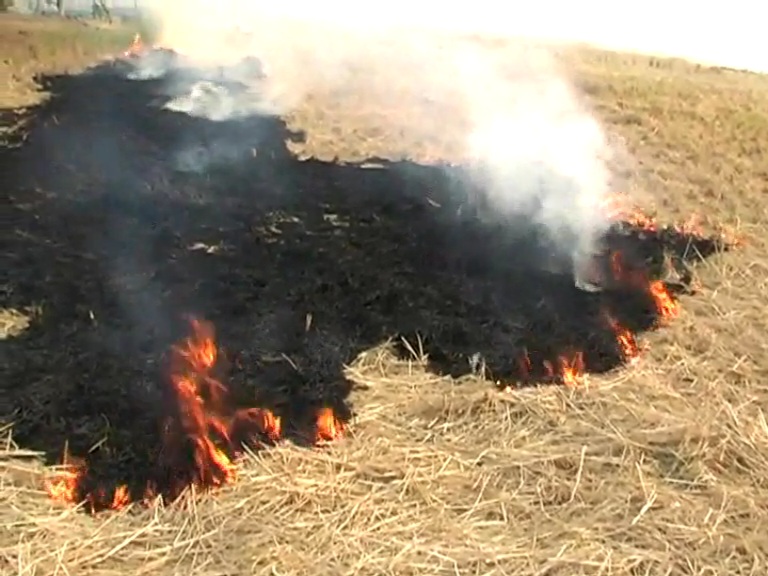 Stubble Burning in Kurukshetra