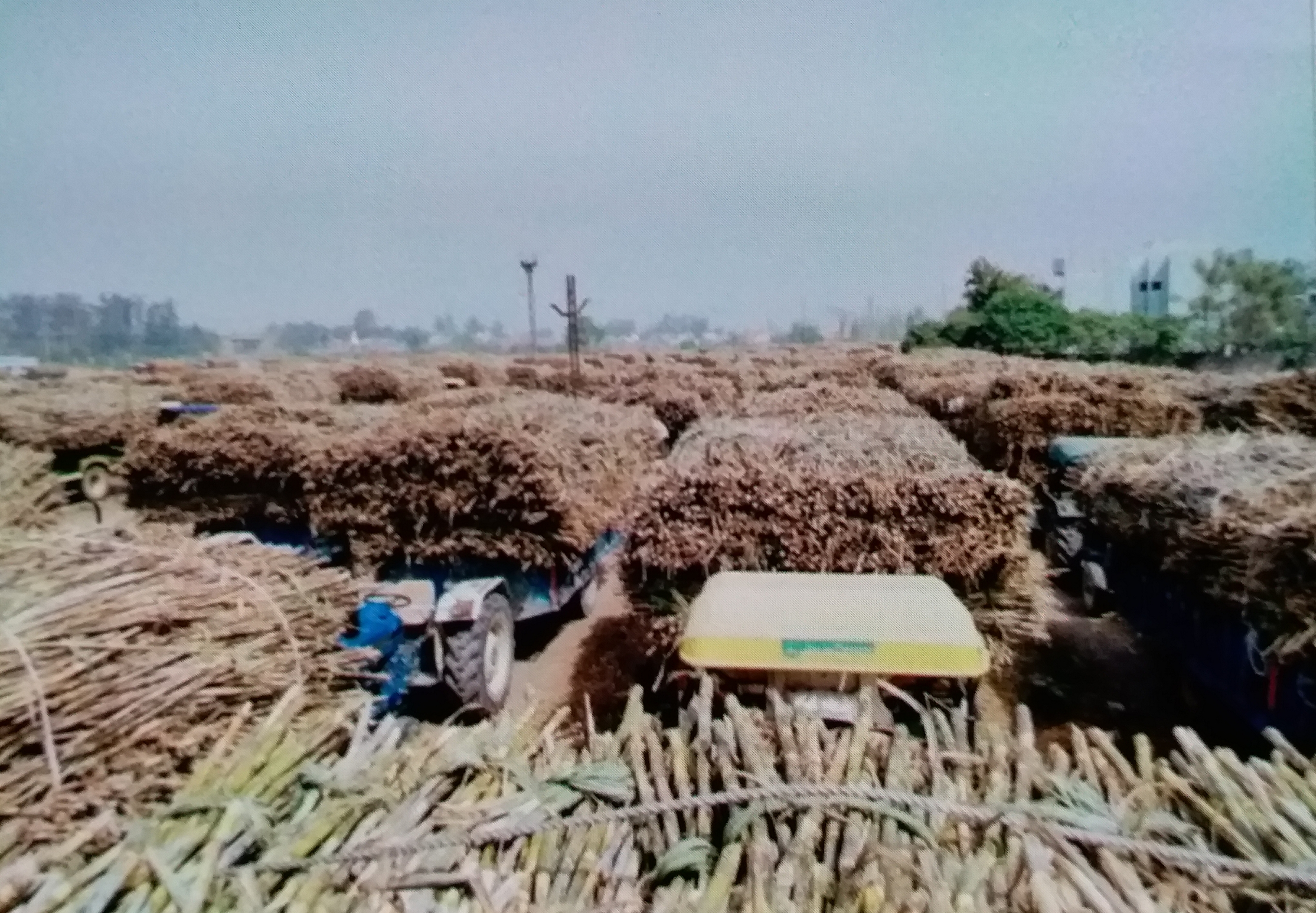 Saraswati sugar mill stopped sugarcane payment in Yamunanagar