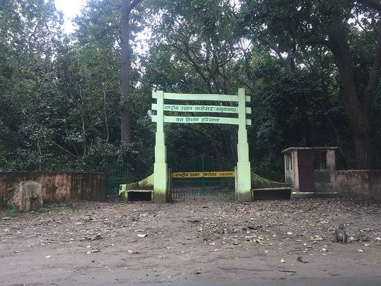 elephants group blocked Jagadhri-Paonta National Highway