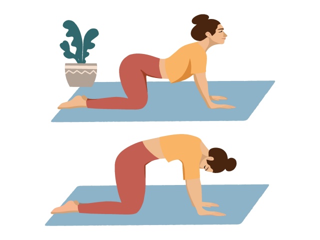 Cat-Cow Stretch, Marjariasana, Yoga, Yoga in back pain