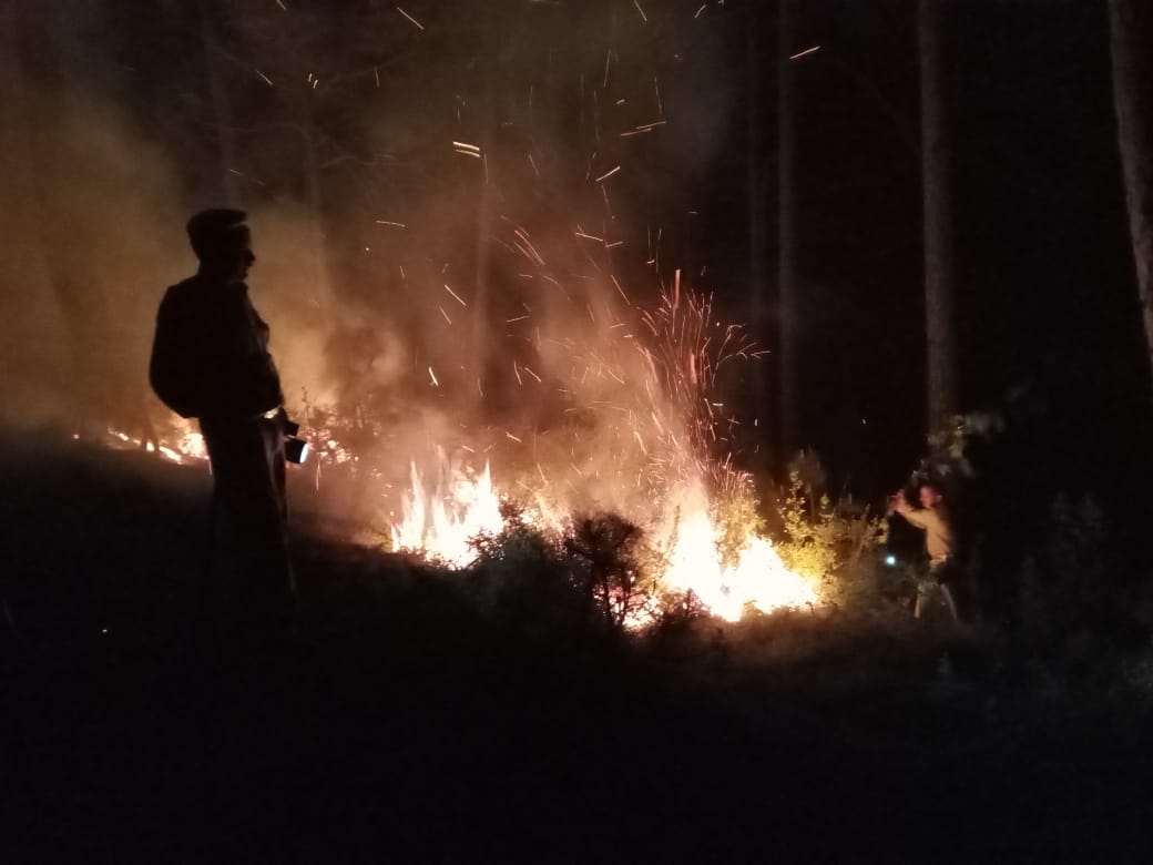 shimla, Incidence of arson in Potterhill forest