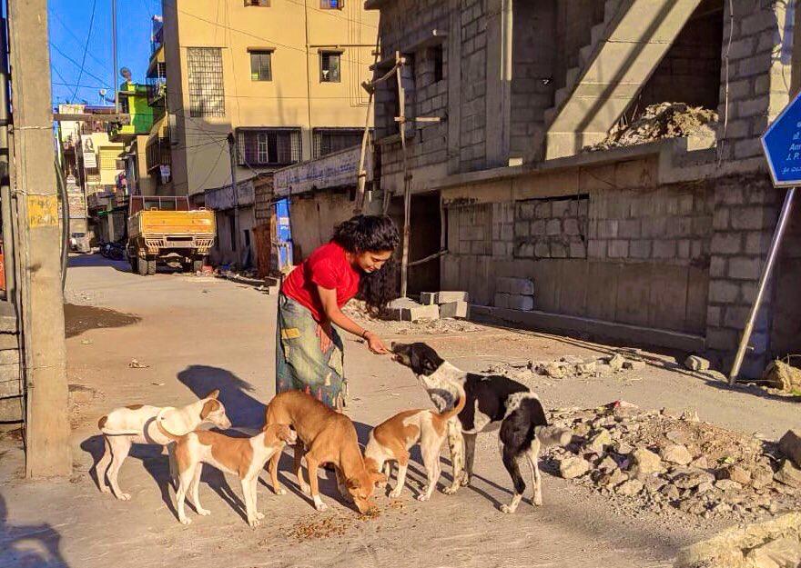 Actress Samyuktha Horanadu feeding street dogs