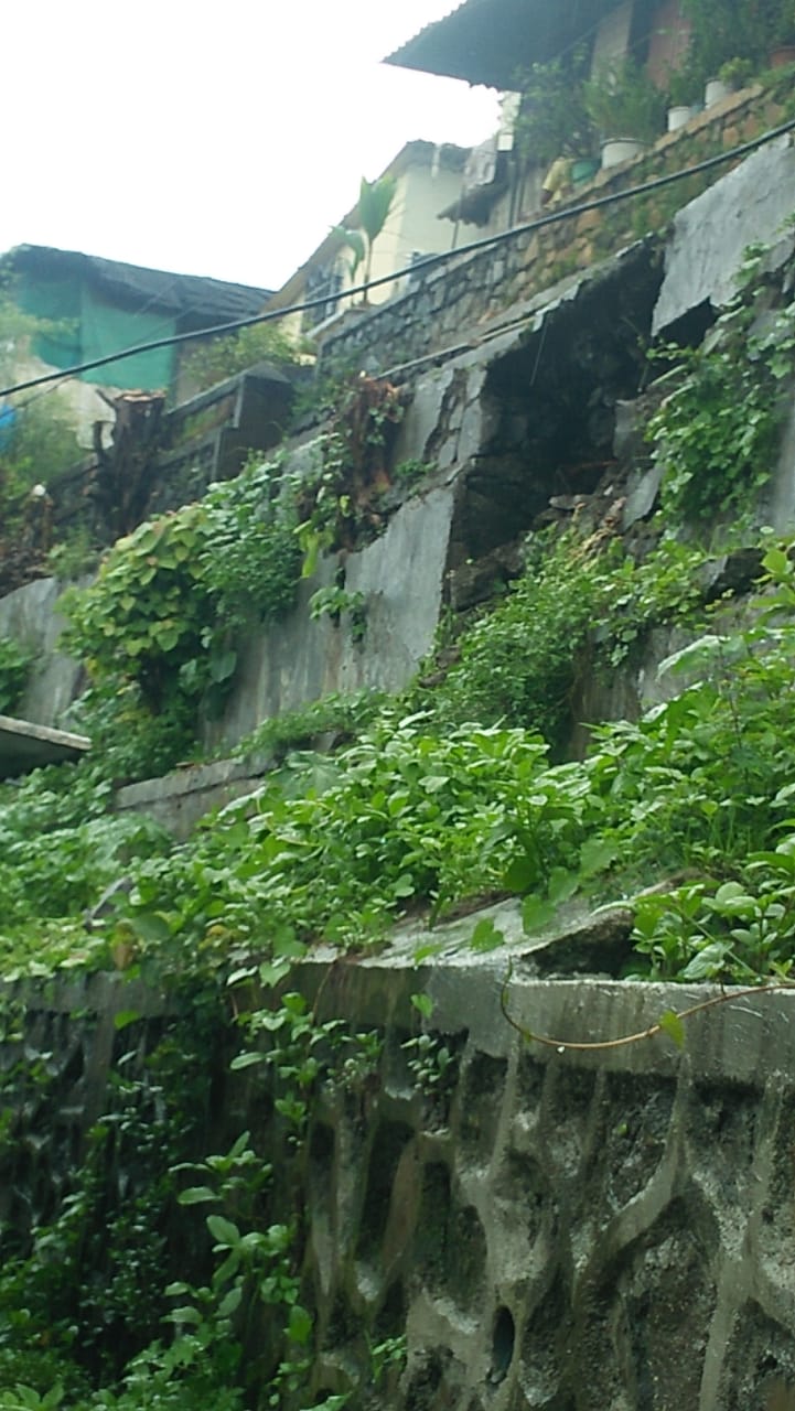 wall collapsed in mumbai